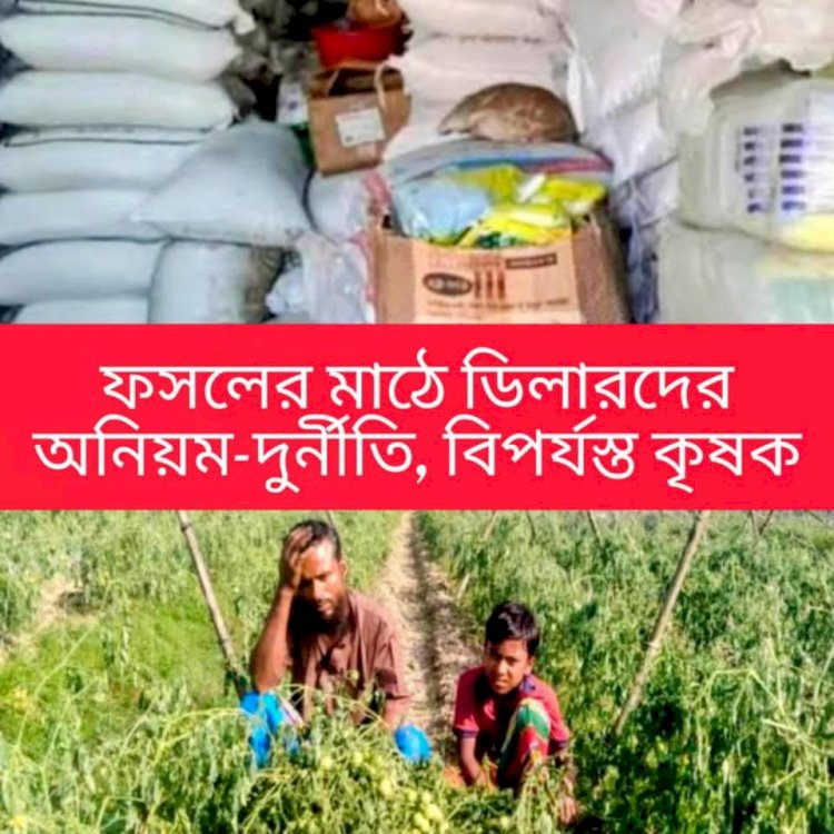 In Rajshahi, farmers are forced to buy fertilizer at higher prices due to the manipulation by some unscrupulous dealers; smuggling is ongoing in various upazilas.