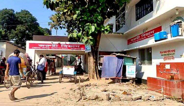 Teenager Riyad killed in Rajbari after motorcycle loses control and crashes into divider